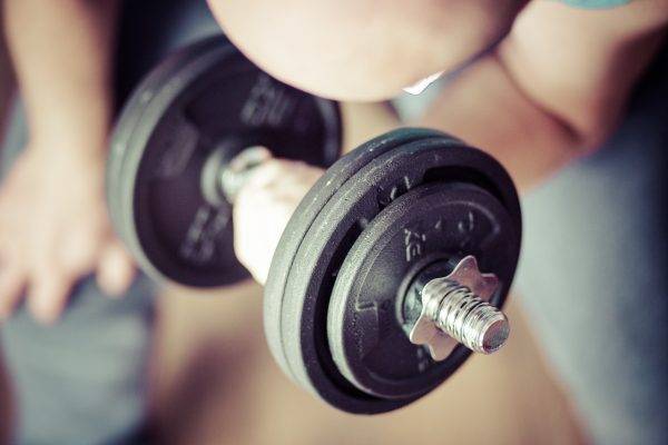 Pro Musculation Programme Musculation Débutant